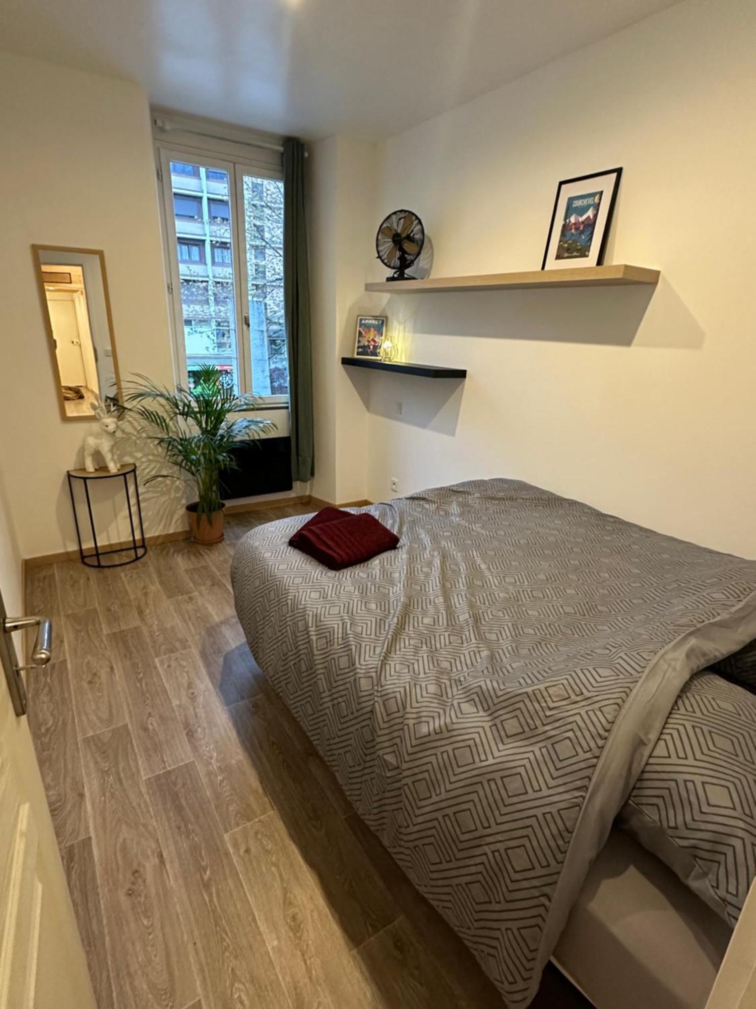 Le Refuge T3 Centre Ville 63M2 Pied Des Montagnes Альбервиль Экстерьер фото